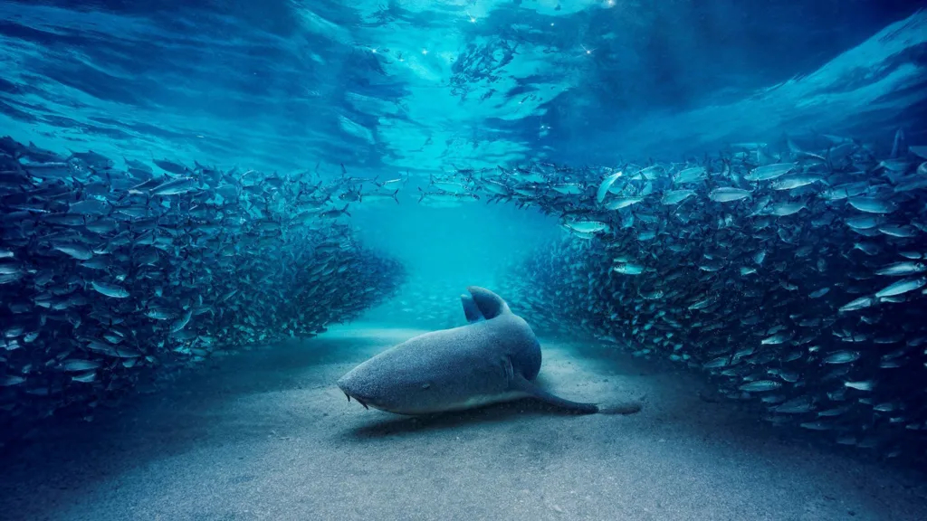 Blue Planet III